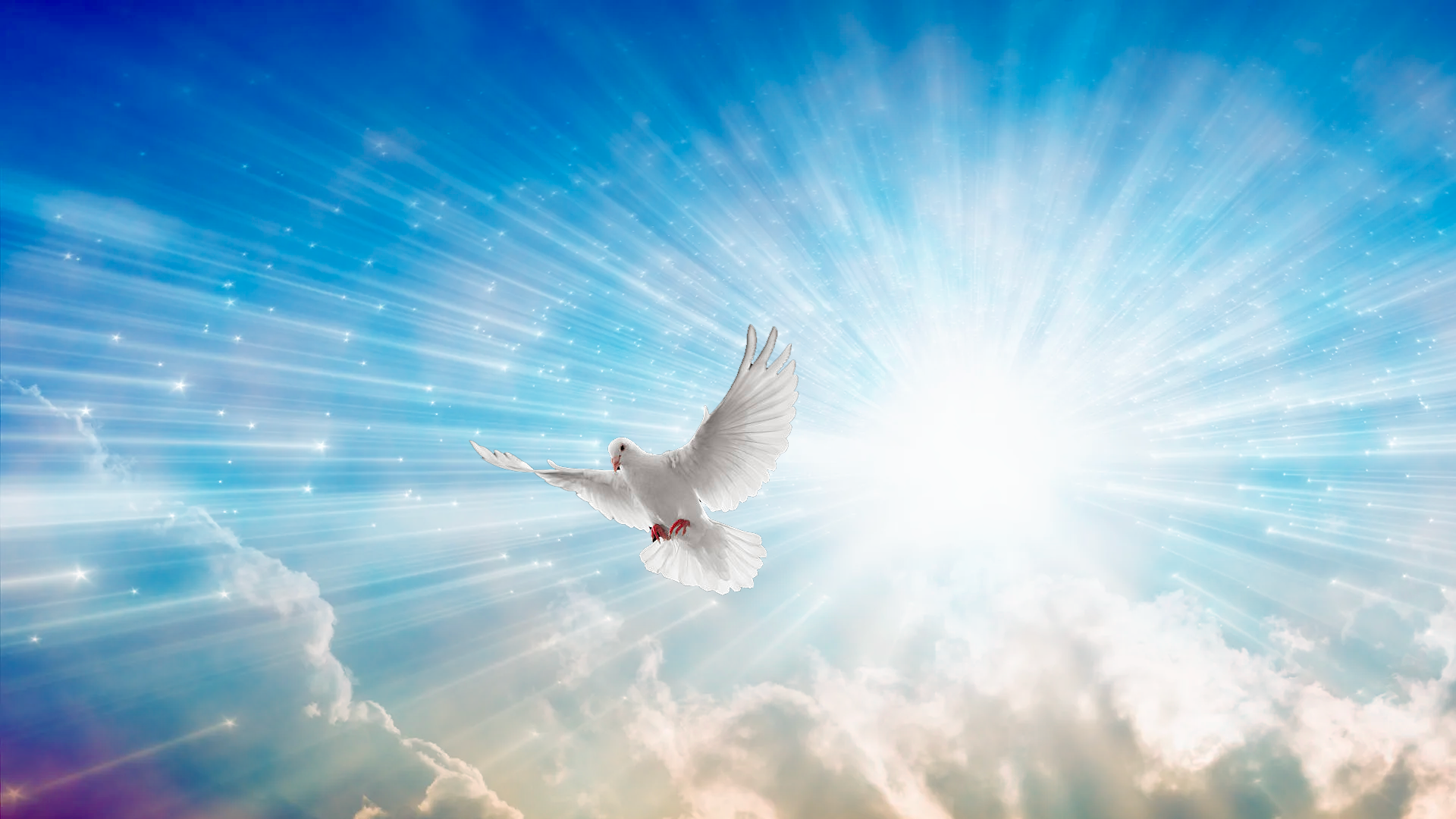Heavenly dove