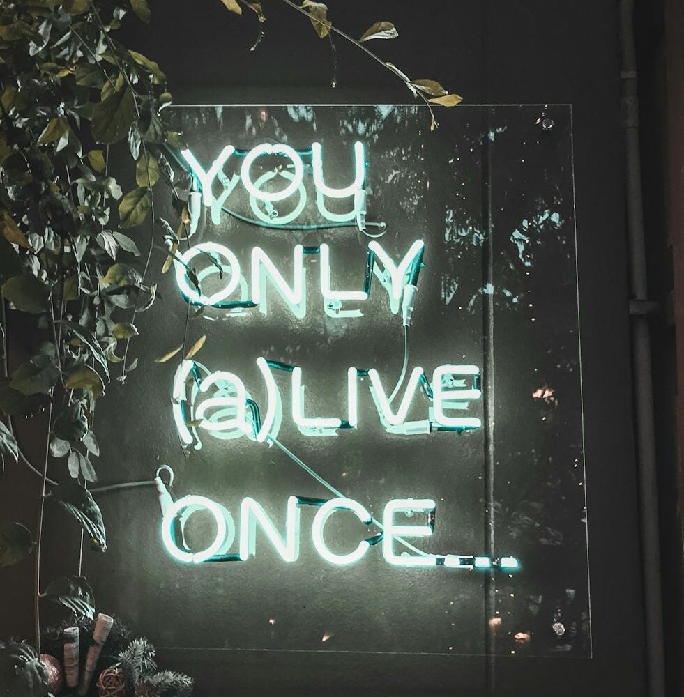 60305a53 8b37 4abb b010 8bdcb5911bab 981x1000